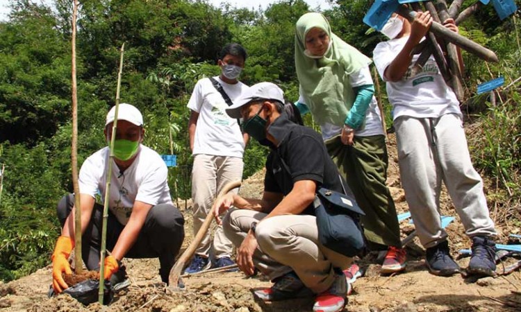 Nayz Selenggarakan Gerakan Tanam 1 Juta Pohon di Lahan Bekas Longsor