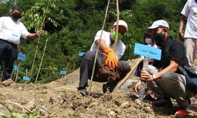 Nazy Selenggarakan Gerakan Tanam 1 Juta Pohon di Lahan Bekas Longsor