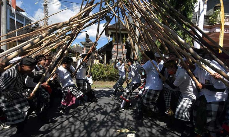 Warga Bali Gelar Tradisi Mekotek saat Hari Raya Kuningan 