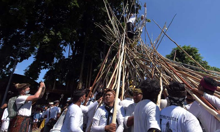 Warga Bali Gelar Tradisi Mekotek saat Hari Raya Kuningan 