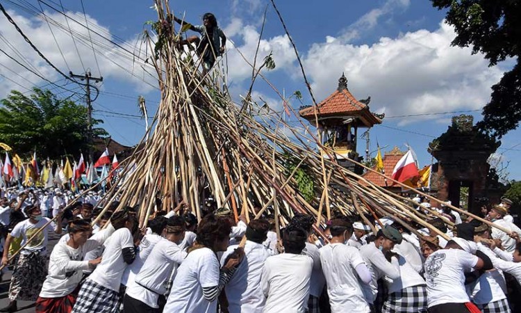 Warga Bali Gelar Tradisi Mekotek saat Hari Raya Kuningan 