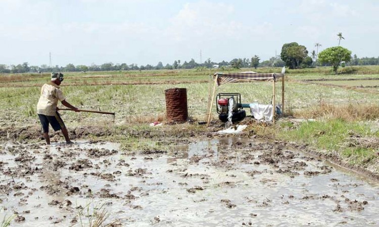 Petani di Sulawesi Selatan Gunakan Mesin Pompa Untuk Mengairi Sawah