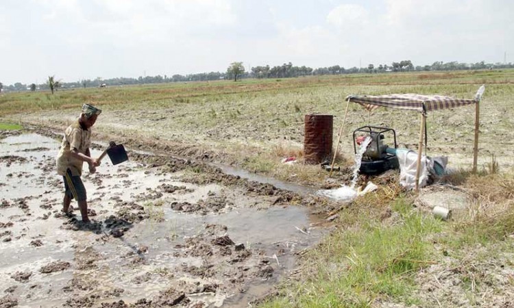 Petani di Sulawesi Selatan Gunakan Mesin Pompa Untuk Mengairi Sawah