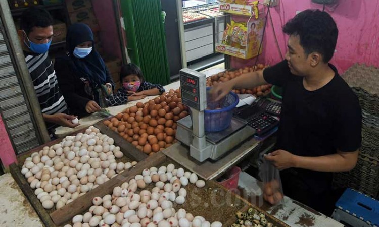 Jelang Lebaran, Harga Telur Ayam Merangkat Naik