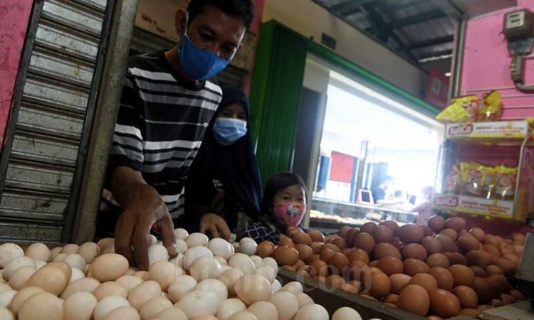 Jelang Lebaran, Harga Telur Ayam Merangkat Naik