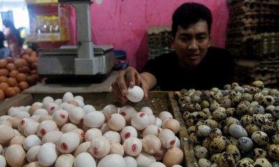 Jelang Lebaran, Harga Telur Ayam Merangkat Naik