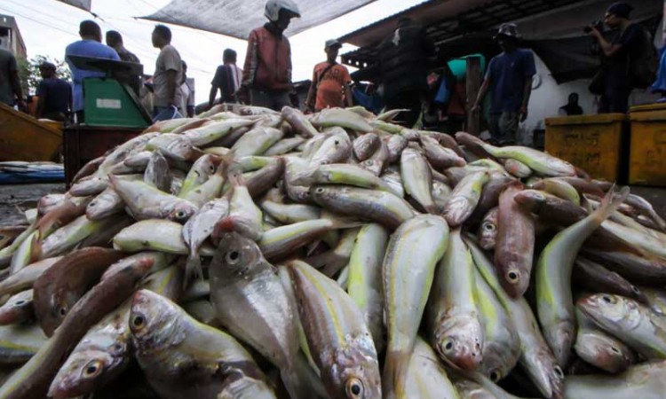 Pascalibur Lebaran, Harga Ikan Segar Naik Hingga 40 Persen