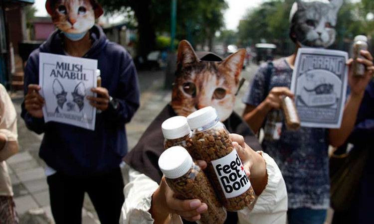 Peduli Kucing Liar, Relawan di Soli Bagikan Wadah Berisi Makanan Kepada Warga