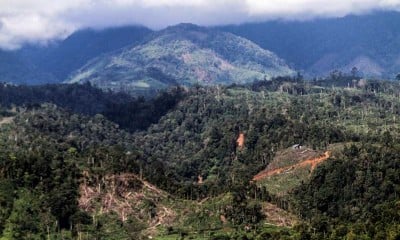 Hutan di Gunung Salak Aceh Kembali Ditebangi Untuk Membuka Lahan Perkebunan