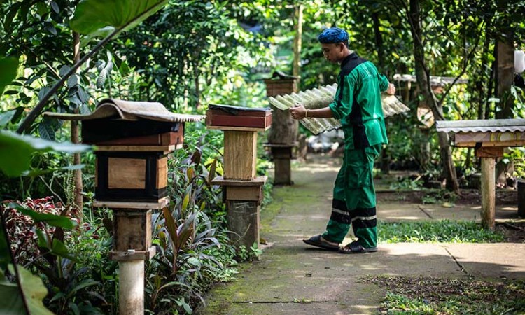 Budidaya Lebah Madu di Hutan Kota DKI Jakarta