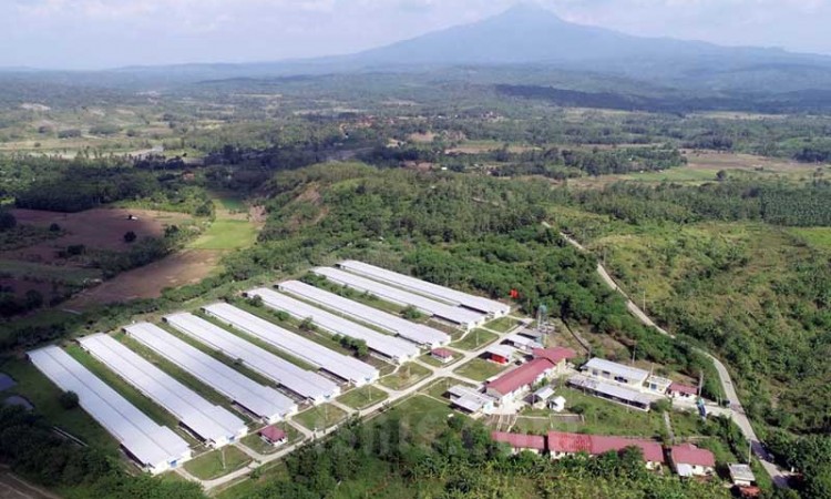 Pemkab Sumedang Siapkan Kawasan Paeruntukan Industri Buah Dua-Ujungjaya-Tomo atau Butom