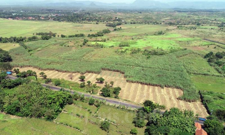 Pemkab Sumedang Siapkan Kawasan Paeruntukan Industri Buah Dua-Ujungjaya-Tomo atau Butom