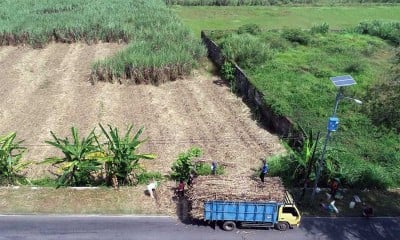 Asosiasi Petani Tebu Rakyat Indonesia Minta Pemerintah Kaji Ulang Rencana Pengenaan PPN Sembako