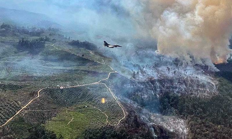 Pesawat Tempur F-16 Temukan Titik Kebakaran Hutan di Riau Saat Jalani Latihan Rutin