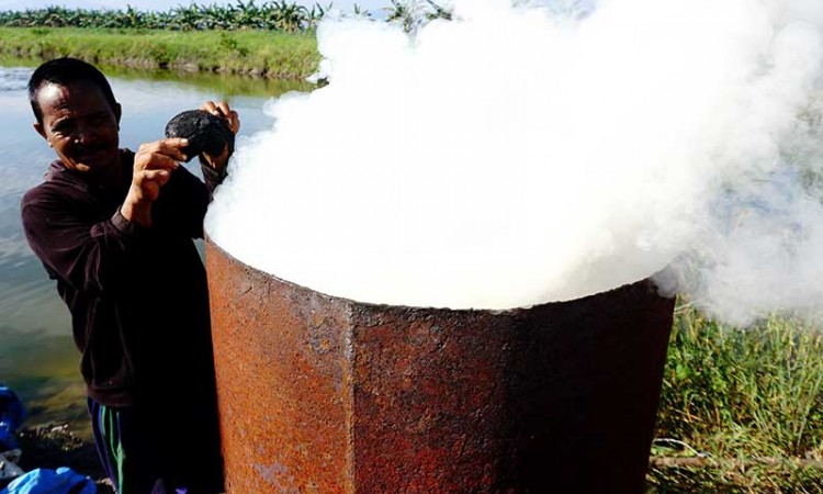 Produksi Briket Dari Arang Batok Kelapa di Sulbar Mencapai 10 Ton Per Bulan