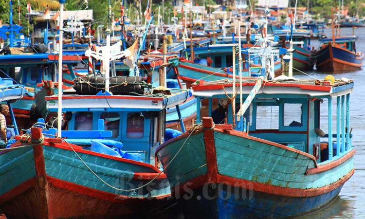 Genjot Produksi Ikan Tuna, Pemkot Padang Siapkan Anggaran Modifikasi Kapal