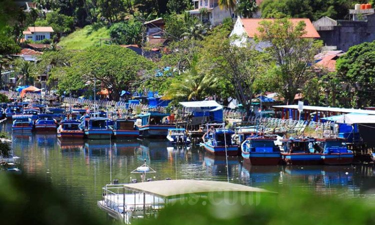 Genjot Produksi Ikan Tuna, Pemkot Padang Siapkan Anggaran Modifikasi Kapal