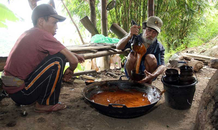 Pembuatan Gula Merah Dari Pohon Aren