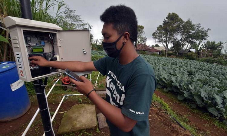Petani di Bali Memanfaatkan Digitalisasi IoT Untuk Bertani