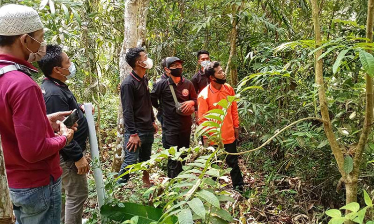 PT Royal Lestari Utama Gelar Pelatihan Budidaya Jernang di Jambi