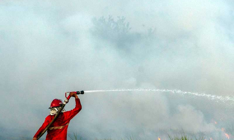 Petugas Gabungan Masih Berusaha Memadamkan Kebakaran Lahan di Sumatra Selatan