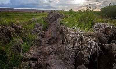 Lahan Pertanian di Kalimantan Rusak Akibat Adanya Pergerakan Tanah