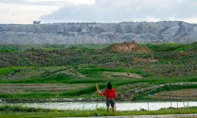 Lahan Pertanian di Kalimantan Rusak Akibat Adanya Pergerakan Tanah