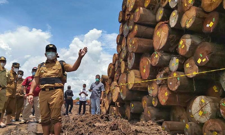 Pemprov Kalteng Menyegel Ribuan Kayu Log Yang Diduga Ilegal