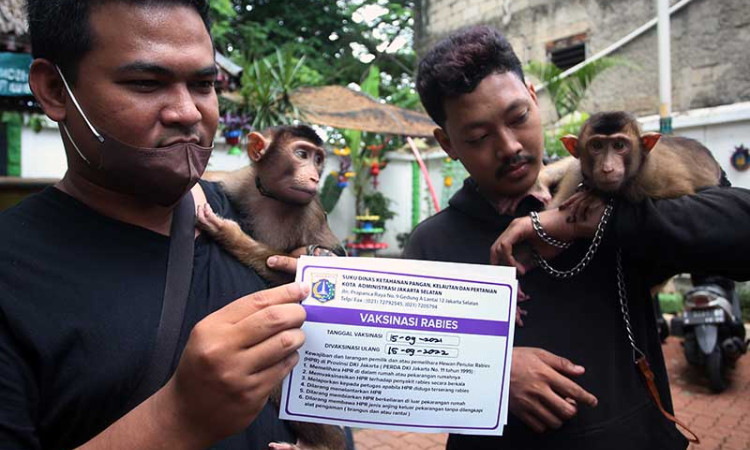 Vaksinasi Rabies Gratis Bagi Hewan Peliharaan di Jakarta