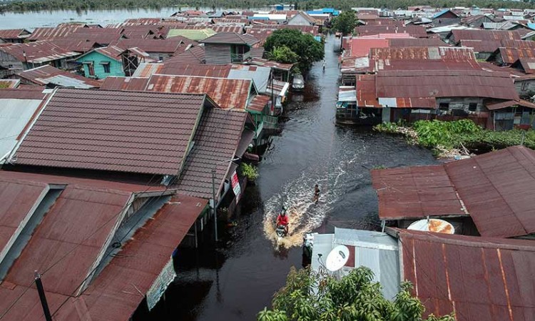 Banjir Luapan Sungai di Palangkaraya Meluas, 17 Kelurahan Terendam Banjir Hingga Tiga Meter