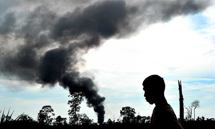 Sudah 9 Hari, Kebakaran Sumur Minyak Ilegal di Jambi Masih Membara