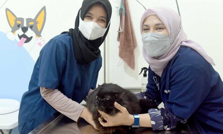 Sambut Hari Rabies Sedunia, Sejumlah Wilayah di Indonesia Gelar Vaksinasi Rabies Gratis