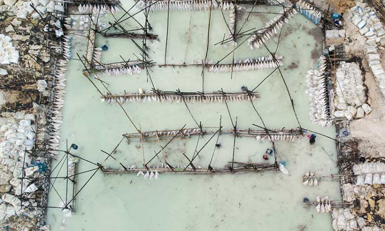 Lahan Pengolahan Limbah Tepung di Jawa Barat