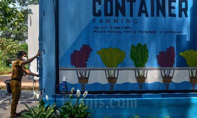 Container Farming Jadi Solusi Lahan Pertanian di Jakarta