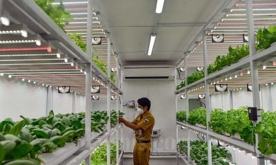 Container Farming Jadi Solusi Lahan Pertanian di Jakarta