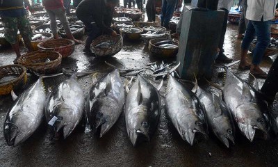 KKP Bersama Lembaga Foodbank of Indonesia Kampanyekan Konsumsi Ikan Untuk Cegah Stunting