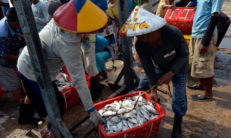 Tangkapan Ikan Nelayan Menurun Akibat Ombak Tinggi