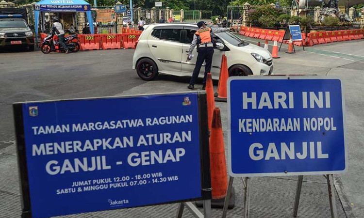 Dishub DKI Jakarta Terapkan Ganjil-Genap di Taman Margasatwa Ragunan 