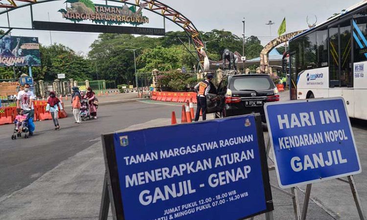 Dishub DKI Jakarta Terapkan Ganjil-Genap di Taman Margasatwa Ragunan 