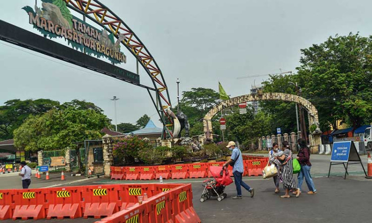 Dishub DKI Jakarta Terapkan Ganjil-Genap di Taman Margasatwa Ragunan 
