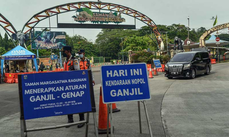 Dishub DKI Jakarta Terapkan Ganjil-Genap di Taman Margasatwa Ragunan 