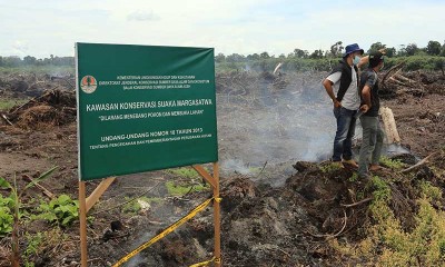 Aloh Fungsi Kawasan Konservasi Suaka Margasatwa Menjadi Perkebunan Kelapa Sawit di Aceh