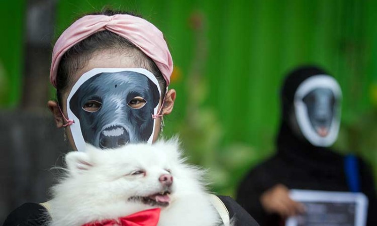 Aksi Solidaritas Komunitas Pecinta Anjing di Solo