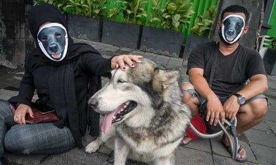 Aksi Solidaritas Komunitas Pecinta Anjing di Solo