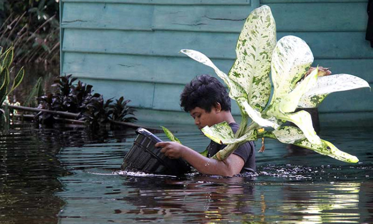BNPB Mulai Evakuasi Ratusan Korban Banjir di Dumai