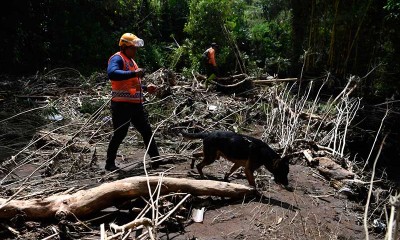 Tim SAR Terjunkan Anjing Pelacak Untuk Mencari Korban Banjir Bandang di Kota Batu