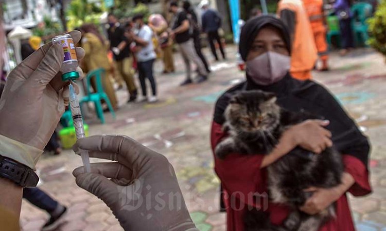 KPKP Jakarta Selatan Berikan Vaksin Rabies Gratis Untuk Binatang Peliharaan Warga