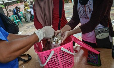 KPKP Jakarta Selatan Berikan Vaksin Rabies Gratis Untuk Binatang Peliharaan Warga