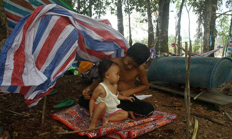 Korban Banjir Sintang Kalbar Mengungsi ke Hutan 