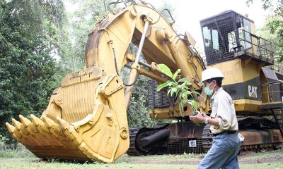 PT Vale Indonesia Tbk. Lakukan Pembibitan Pohon Endemik Yang Nantinya Ditanam Dilokasi Pasca Tambang